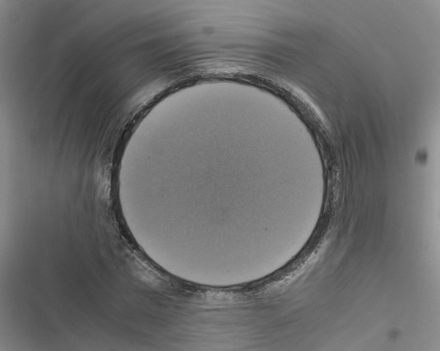 X0000116420777201001191449