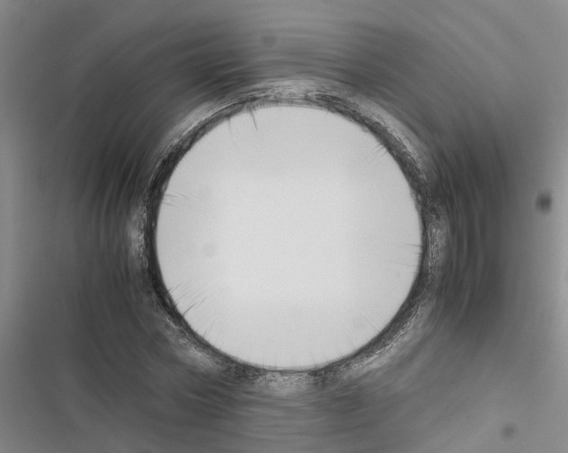 X0000116420778201001191449