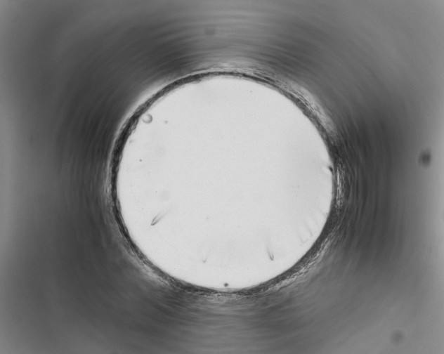 X0000116420780201001191449
