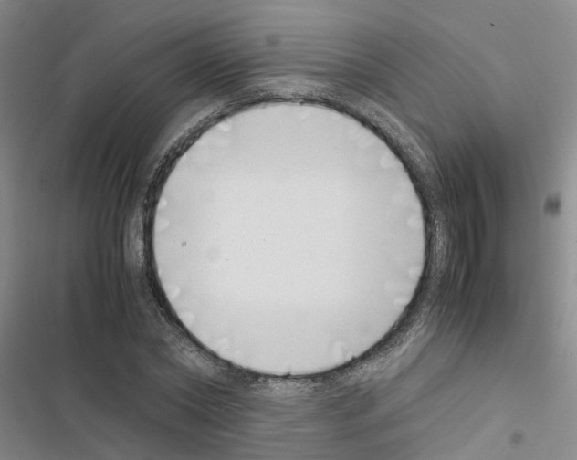 X0000116420782201001191449