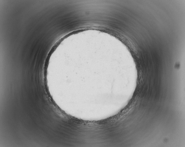 X0000116420784201001191449