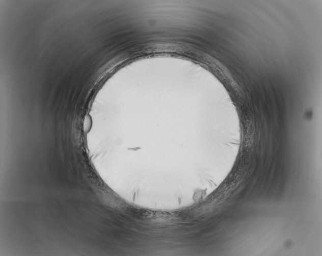 X0000116420786201001191449