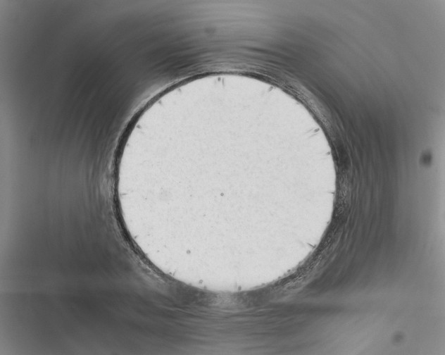 X0000116420787201001191449