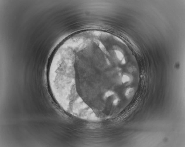 X0000116420788201001191449
