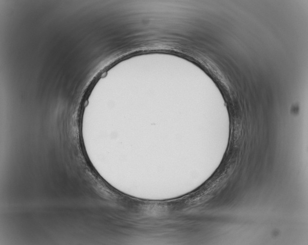X0000116420789201001191449