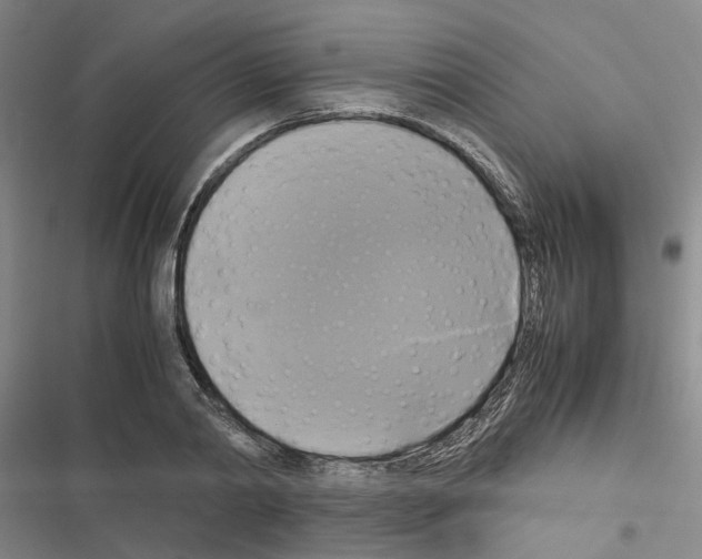 X0000116420790201001191449