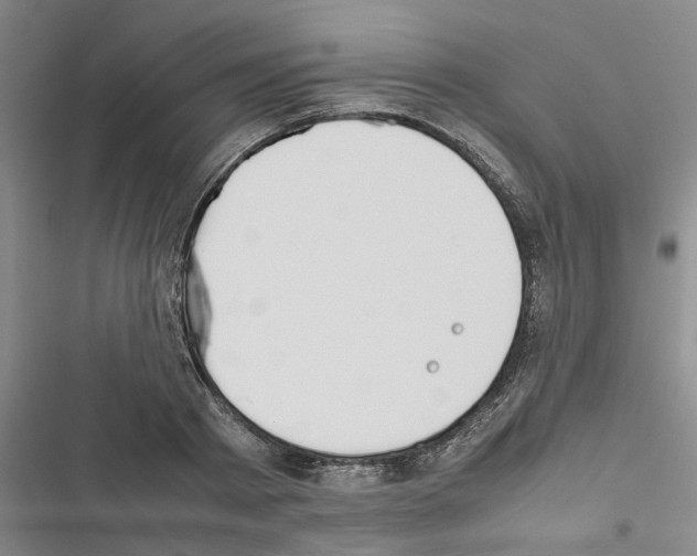 X0000116420793201001191449
