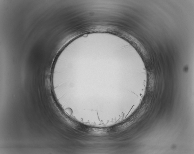 X0000116420794201001191449