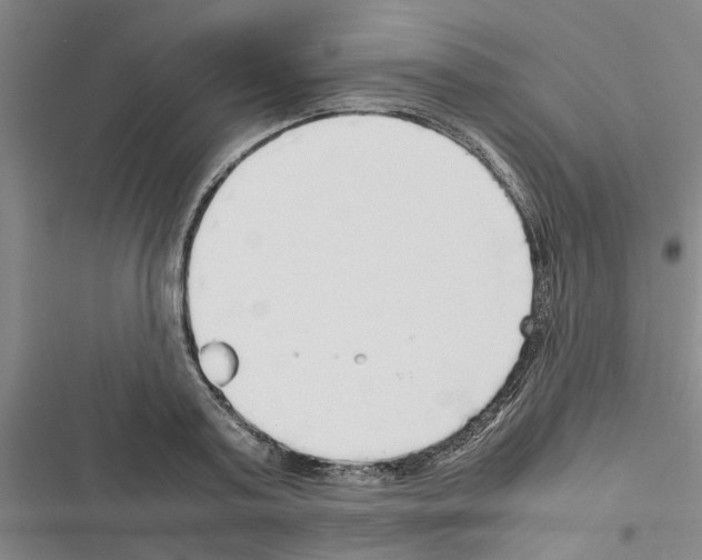 X0000116420795201001191449