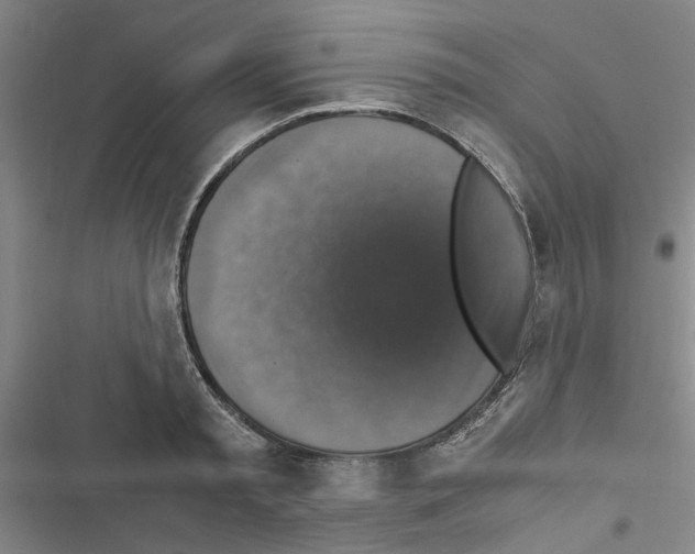X0000116420797201001191449
