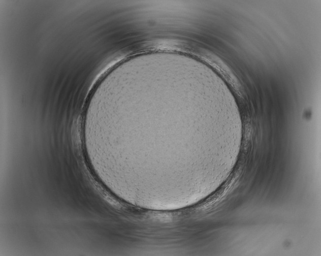 X0000116420798201001191449