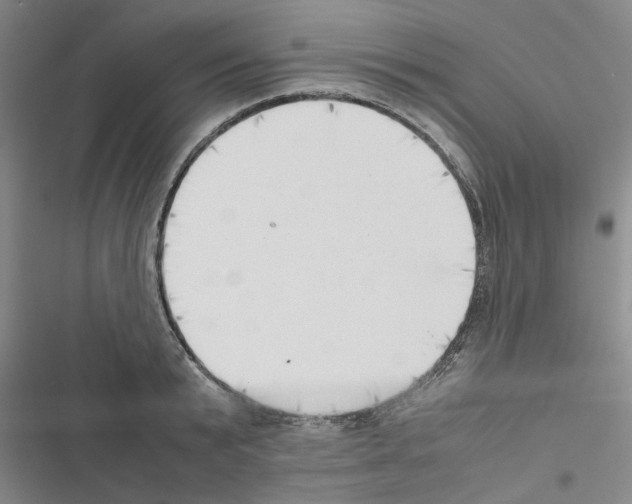 X0000116420799201001191449