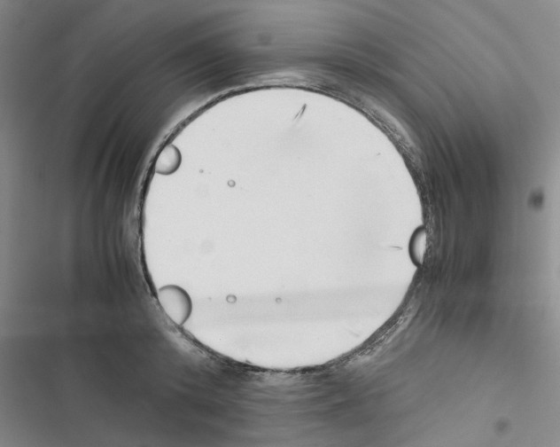 X0000116420800201001191449
