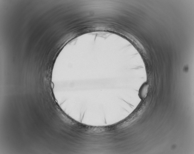 X0000116420801201001191449