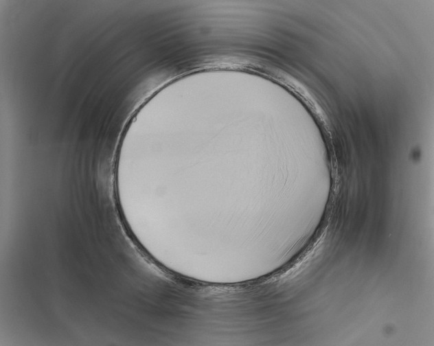 X0000116420802201001191449