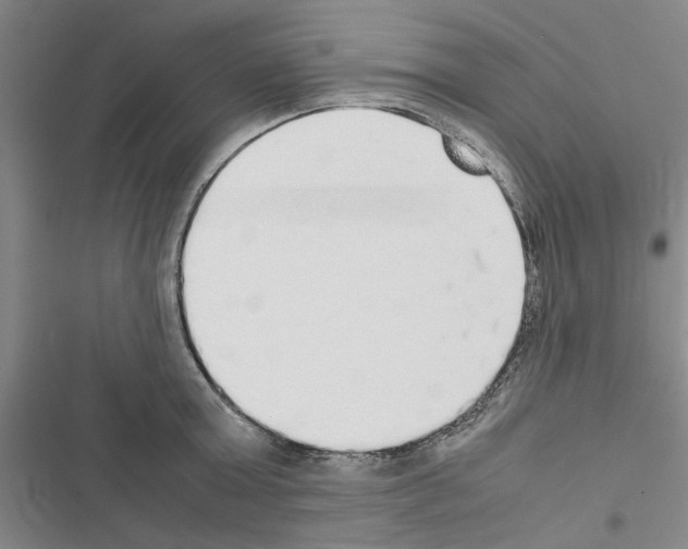 X0000116420803201001191449