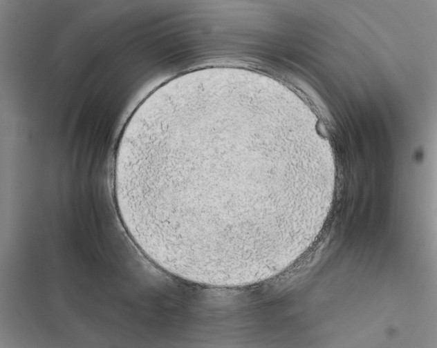 X0000116420804201001191449