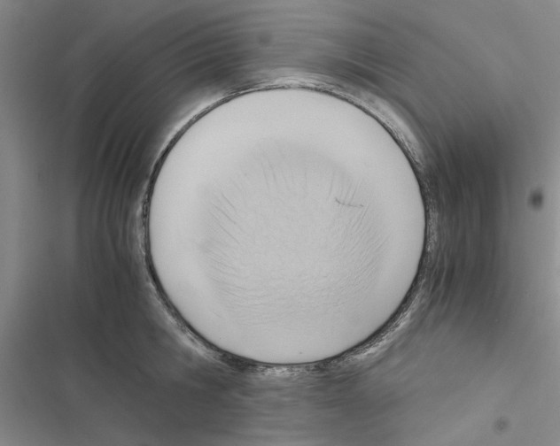 X0000116420806201001191449