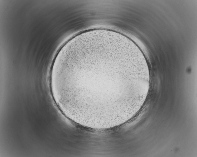 X0000116420807201001191449