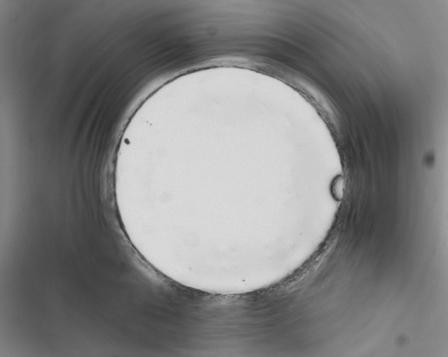 X0000116420808201001191449