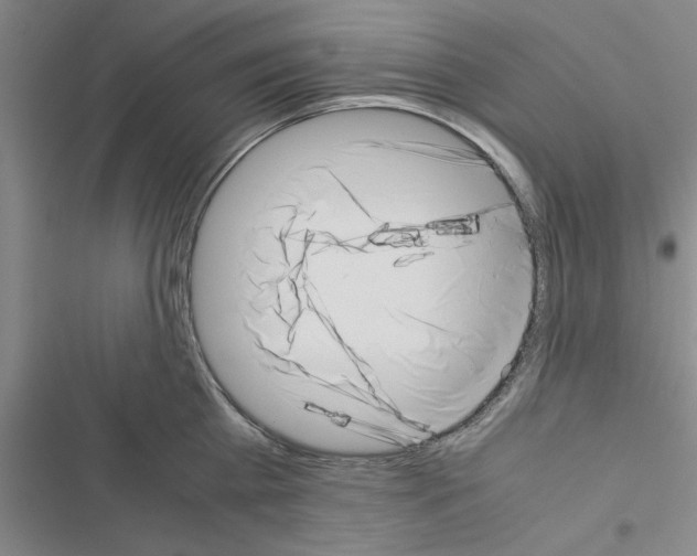 X0000116420809201001191449