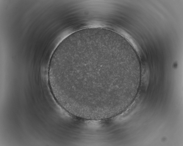 X0000116420810201001191449