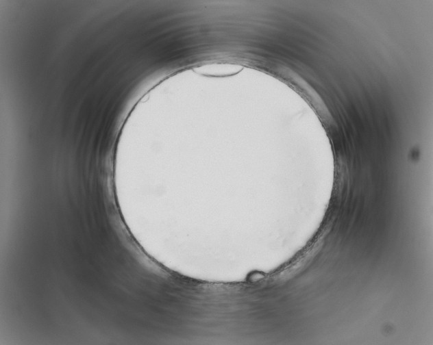 X0000116420812201001191448