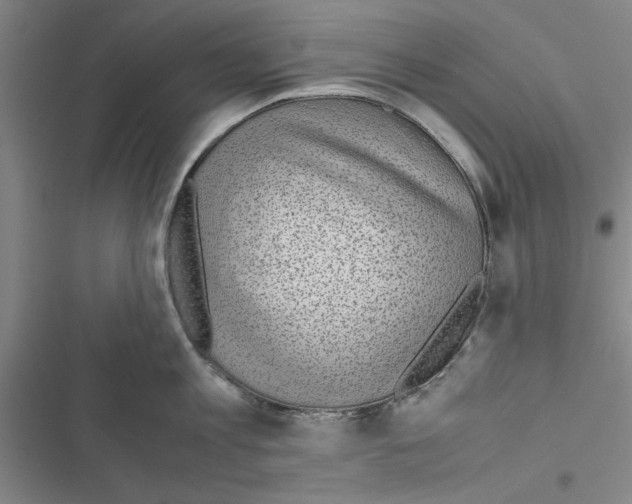 X0000116420813201001191448