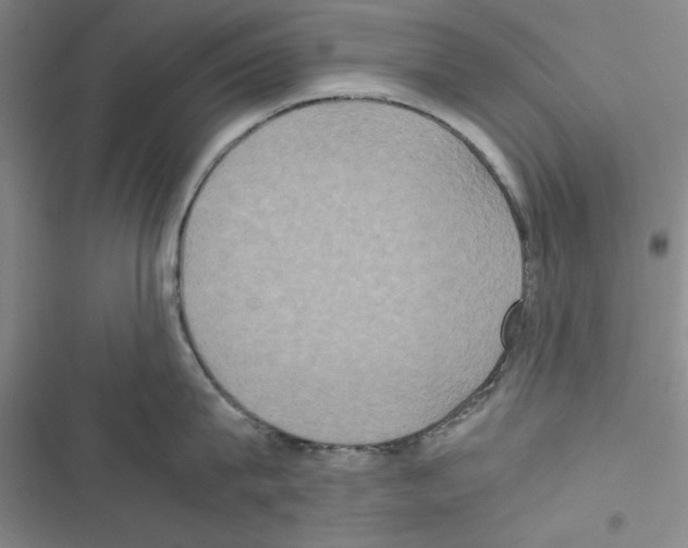 X0000116420815201001191448