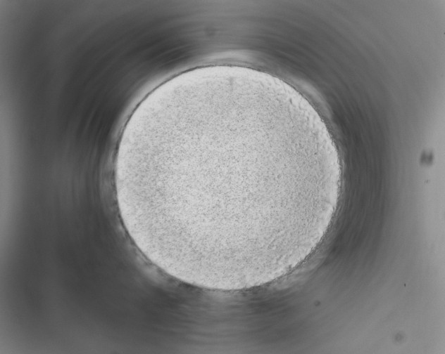 X0000116420816201001191448