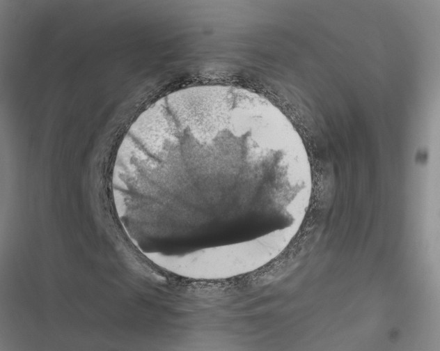 X0000116420817201001191448