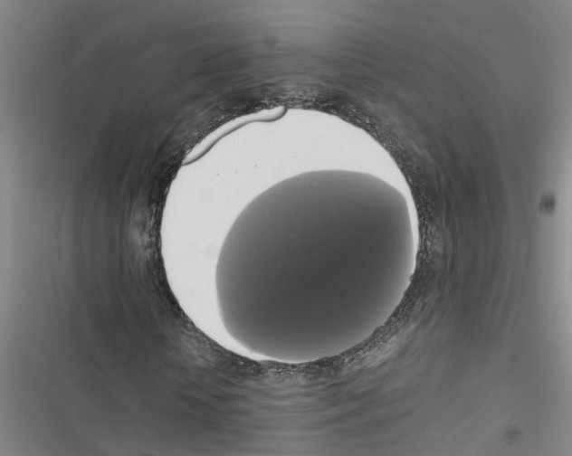 X0000116420818201001191448