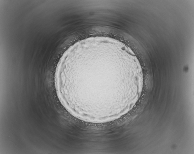 X0000116420819201001191448