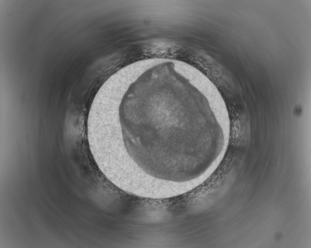 X0000116420820201001191448