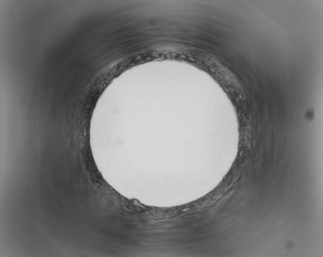 X0000116420821201001191448