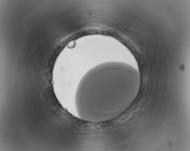 X0000116420822201001191448