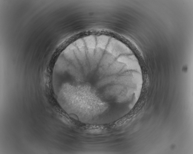 X0000116420823201001191448