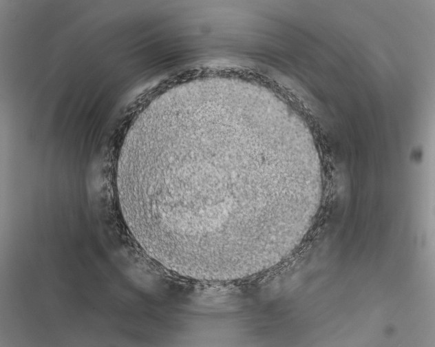 X0000116420824201001191448
