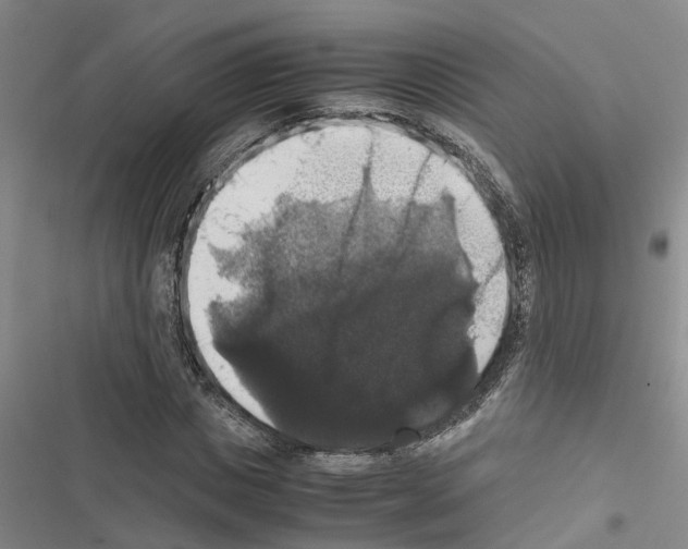 X0000116420825201001191448