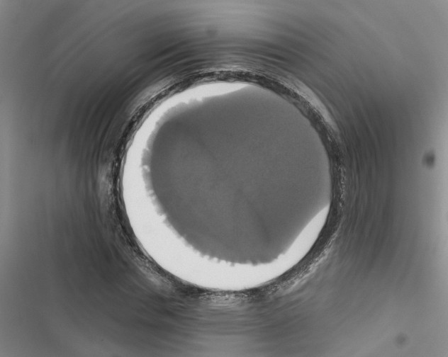 X0000116420826201001191448