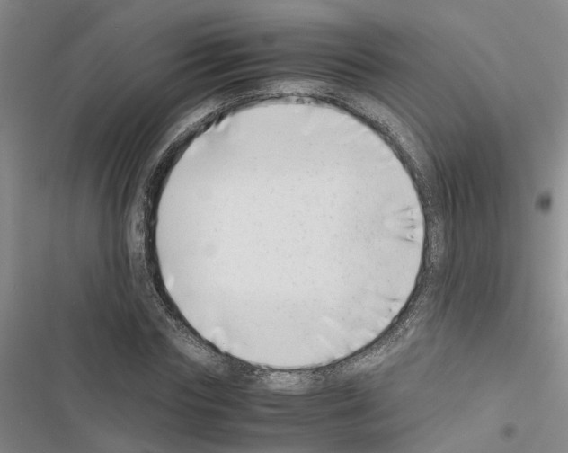 X0000116420827201001191448