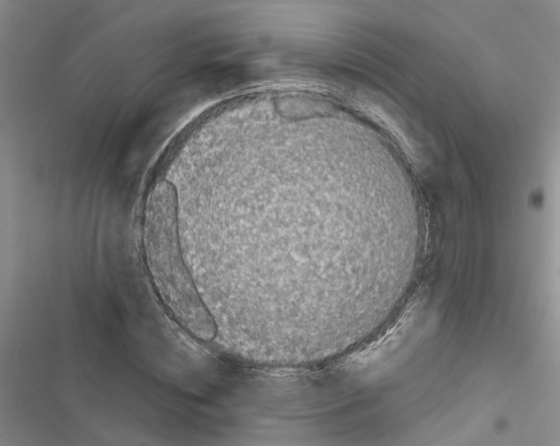 X0000116420828201001191448