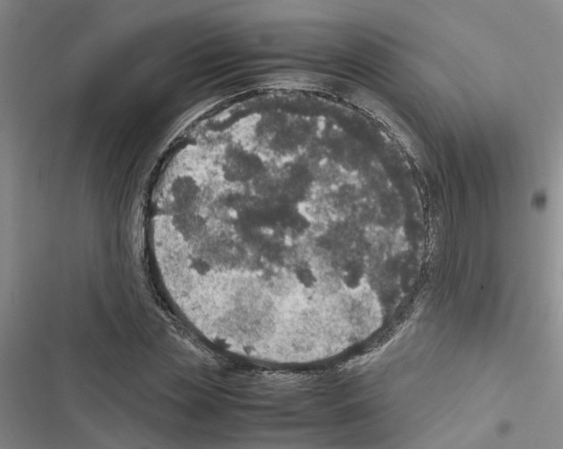 X0000116420829201001191448