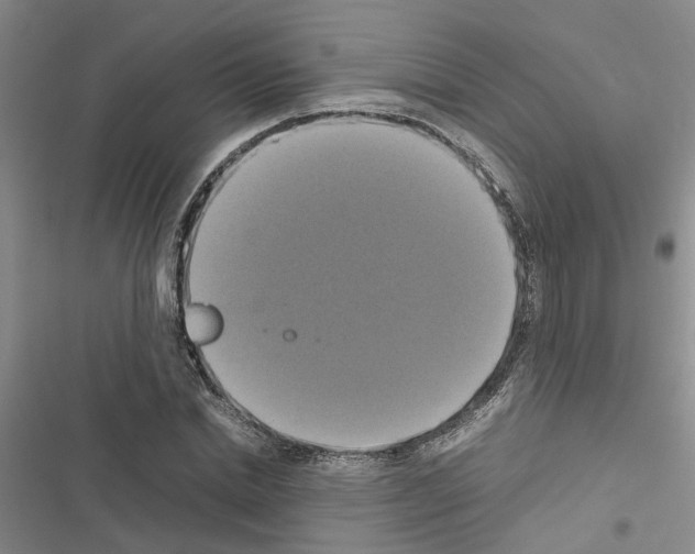 X0000116420830201001191448