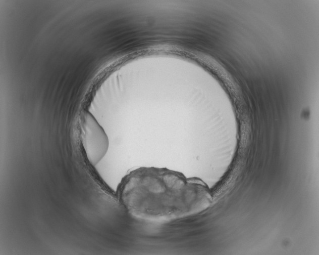 X0000116420831201001191448