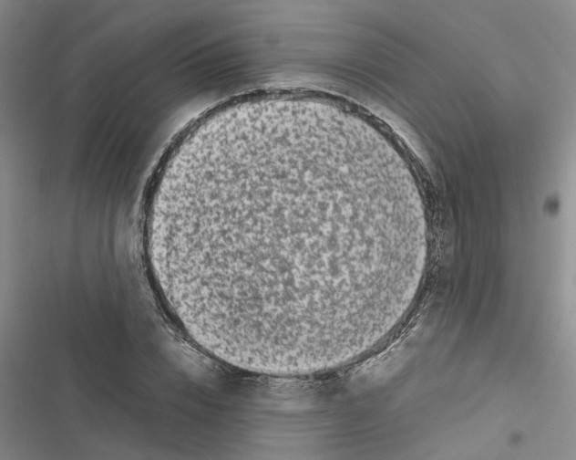 X0000116420832201001191448