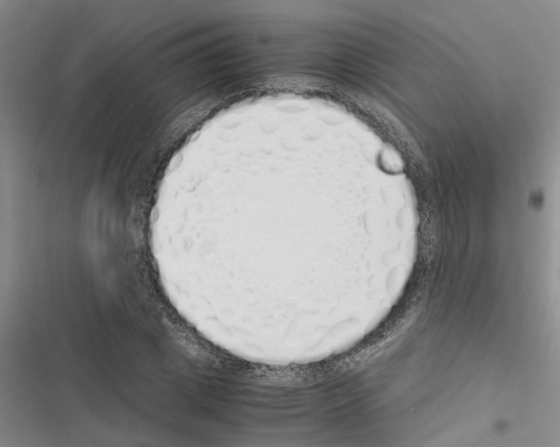 X0000116420833201001191448
