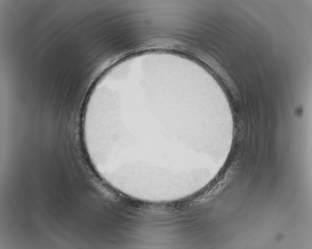 X0000116420834201001191448