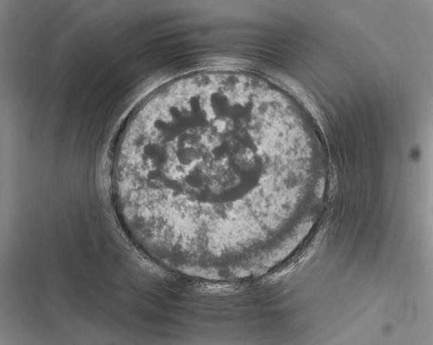 X0000116420835201001191448