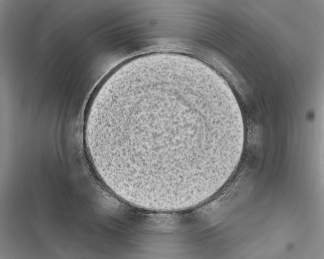 X0000116420836201001191448